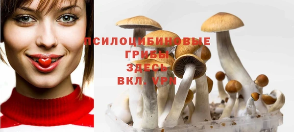 спайс Алексин