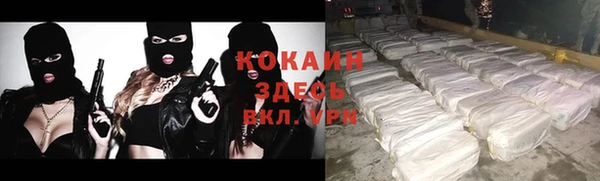 спайс Алексин