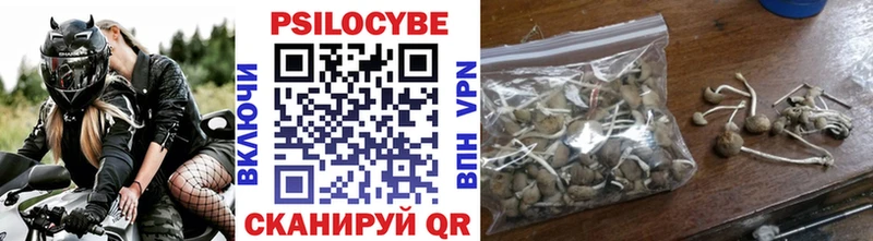 Псилоцибиновые грибы GOLDEN TEACHER Астрахань