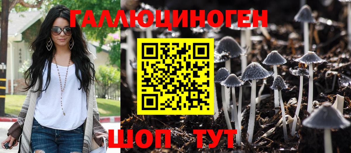 Псилоцибиновые грибы GOLDEN TEACHER  наркотики  Астрахань  Вход с VPN 